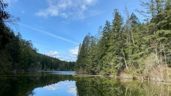 Durrance Lake and McKenzie Bight Walk